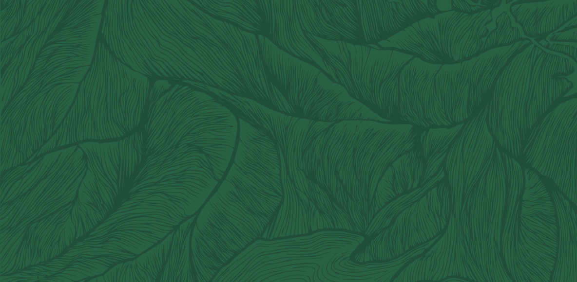 background-placeholder-green