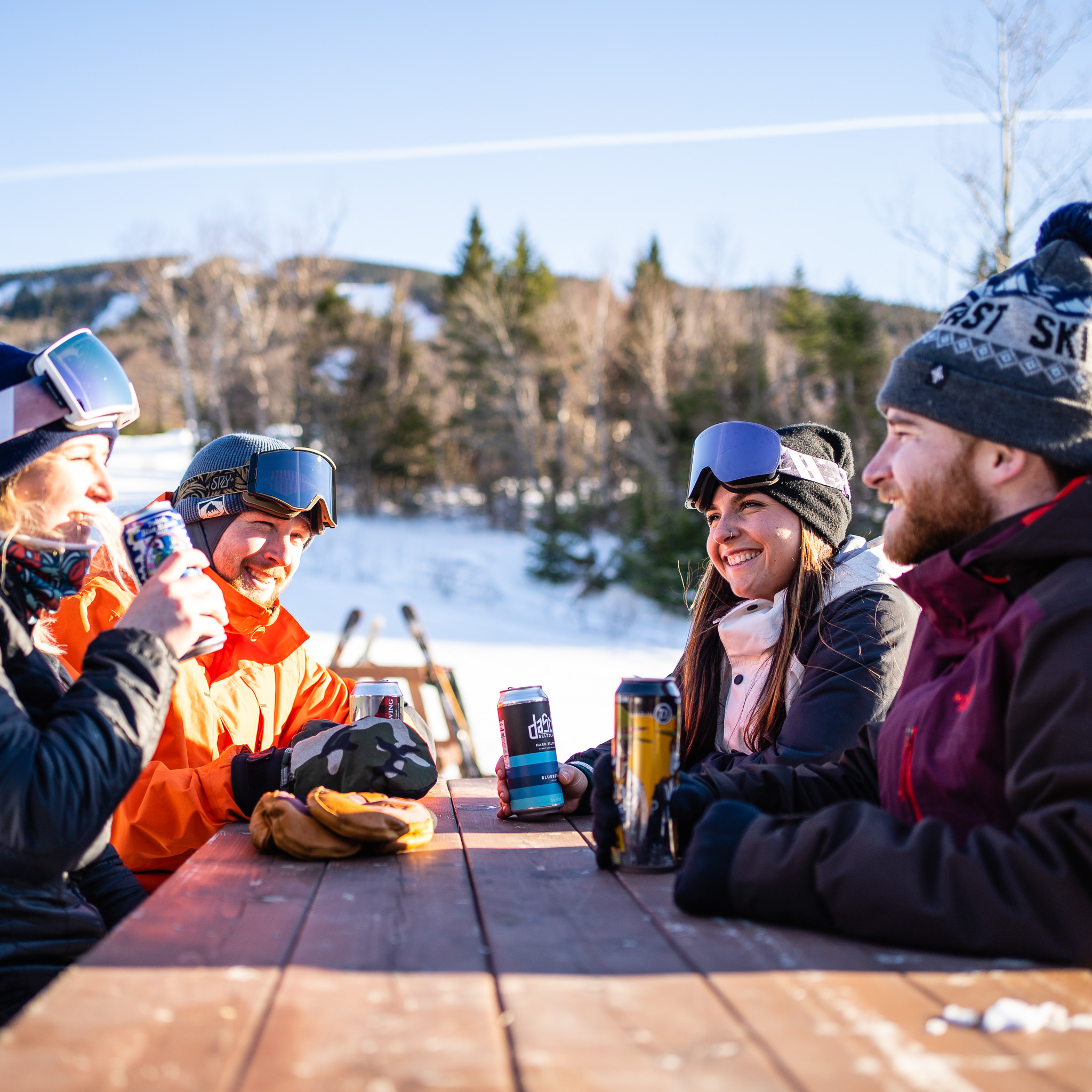 picnic table apres friends