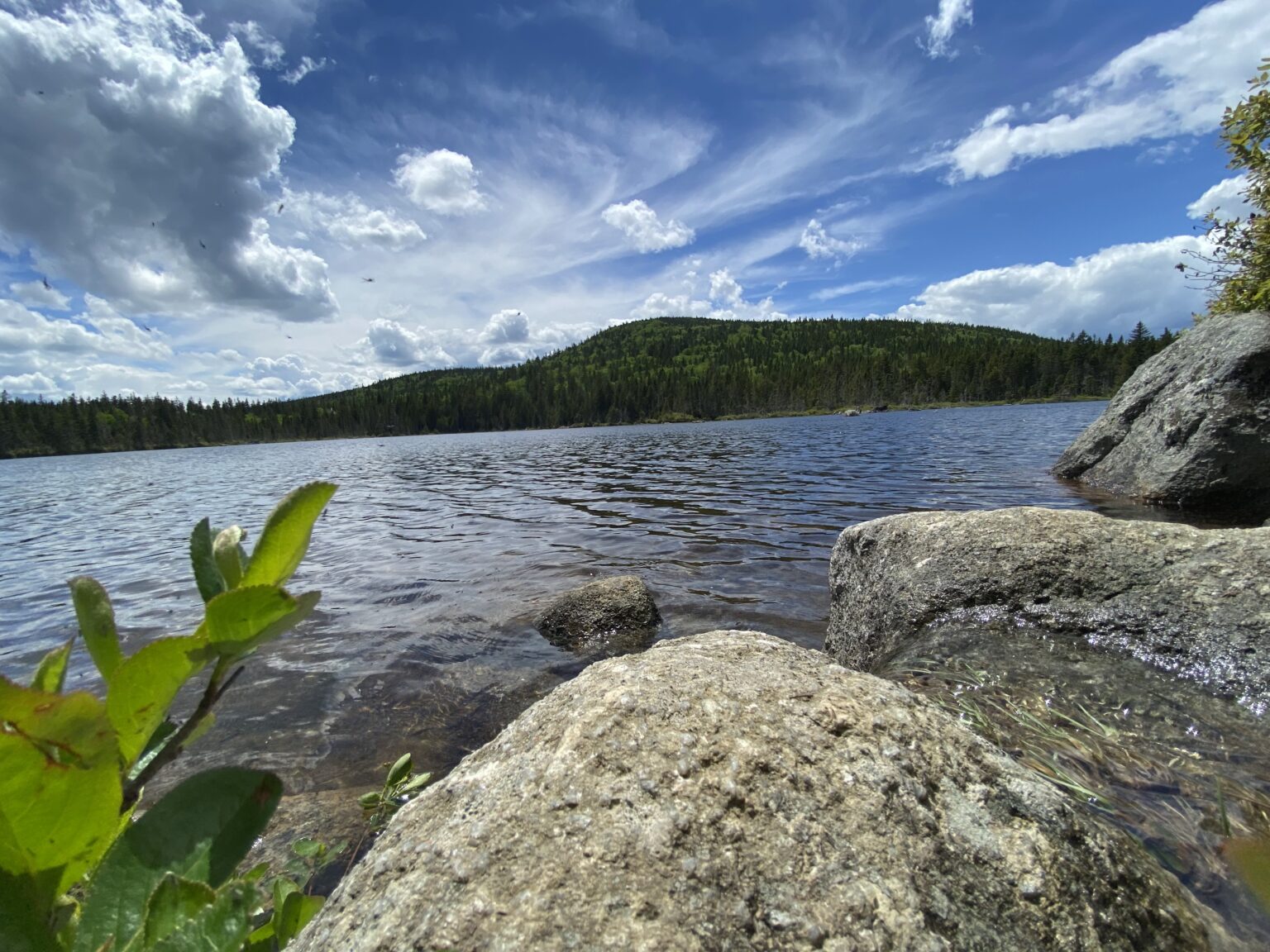 The Trails Less Traveled