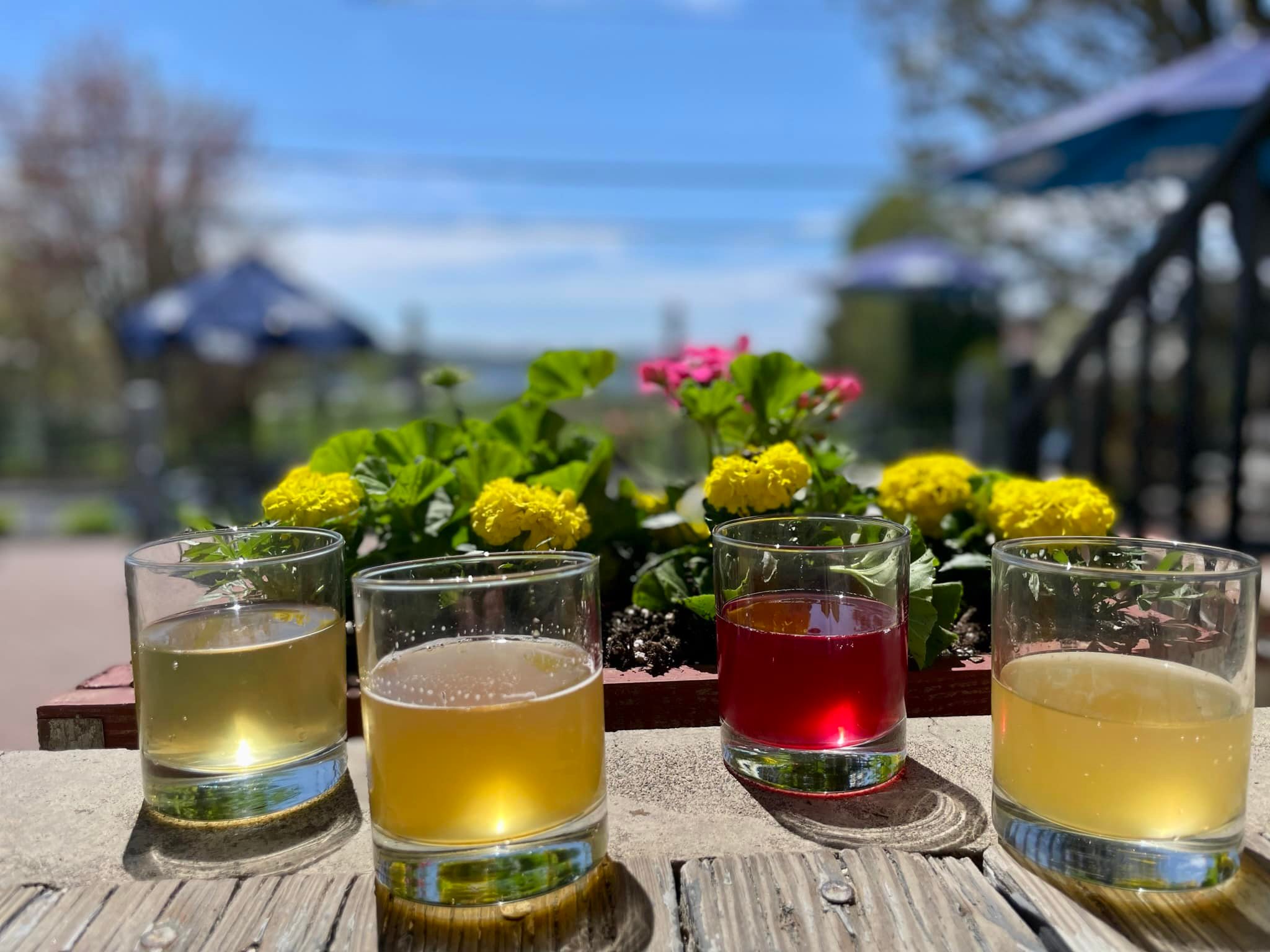 Summer sips of beer on the patio