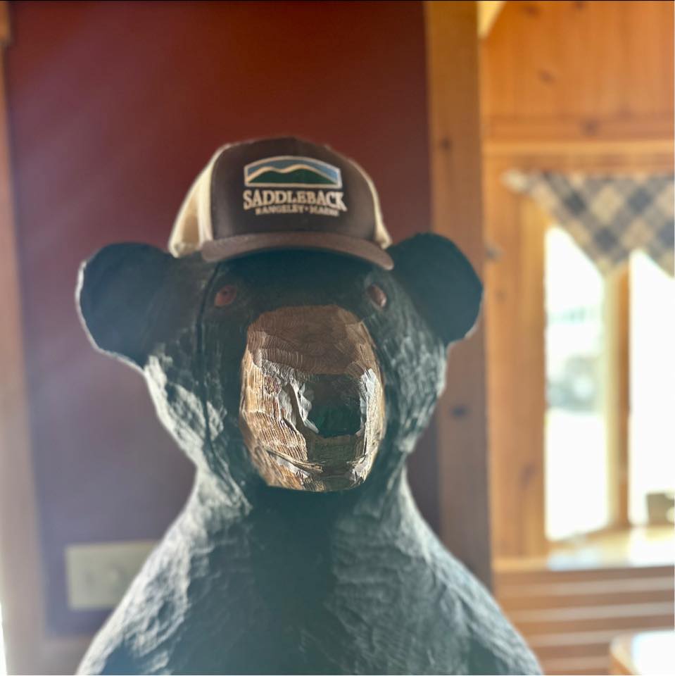 Parkside bear Saddleback hat