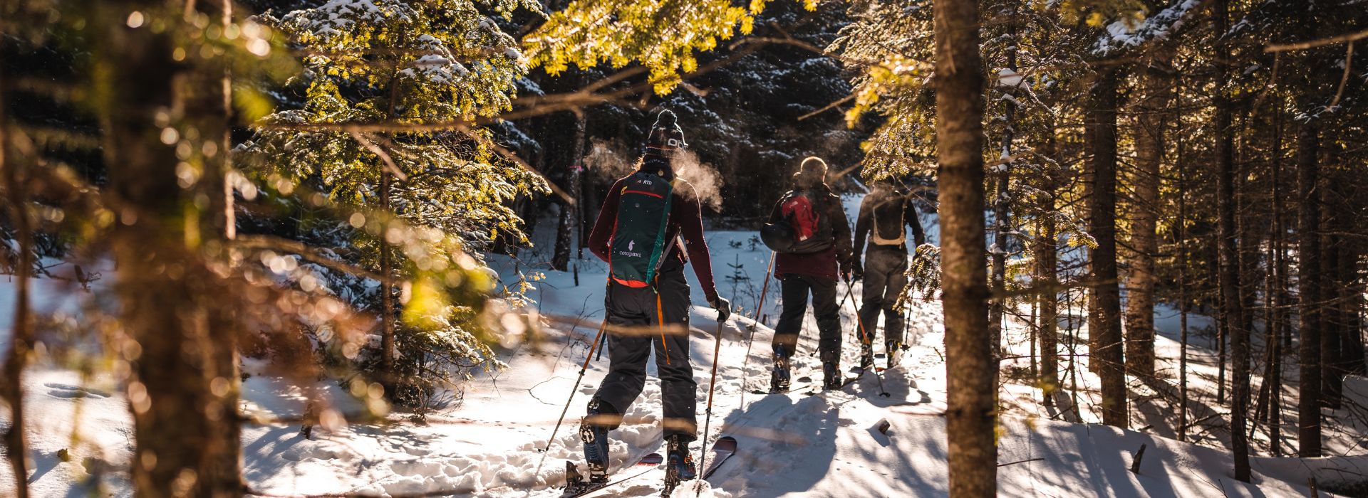 Taking Saddleback's uphill trail