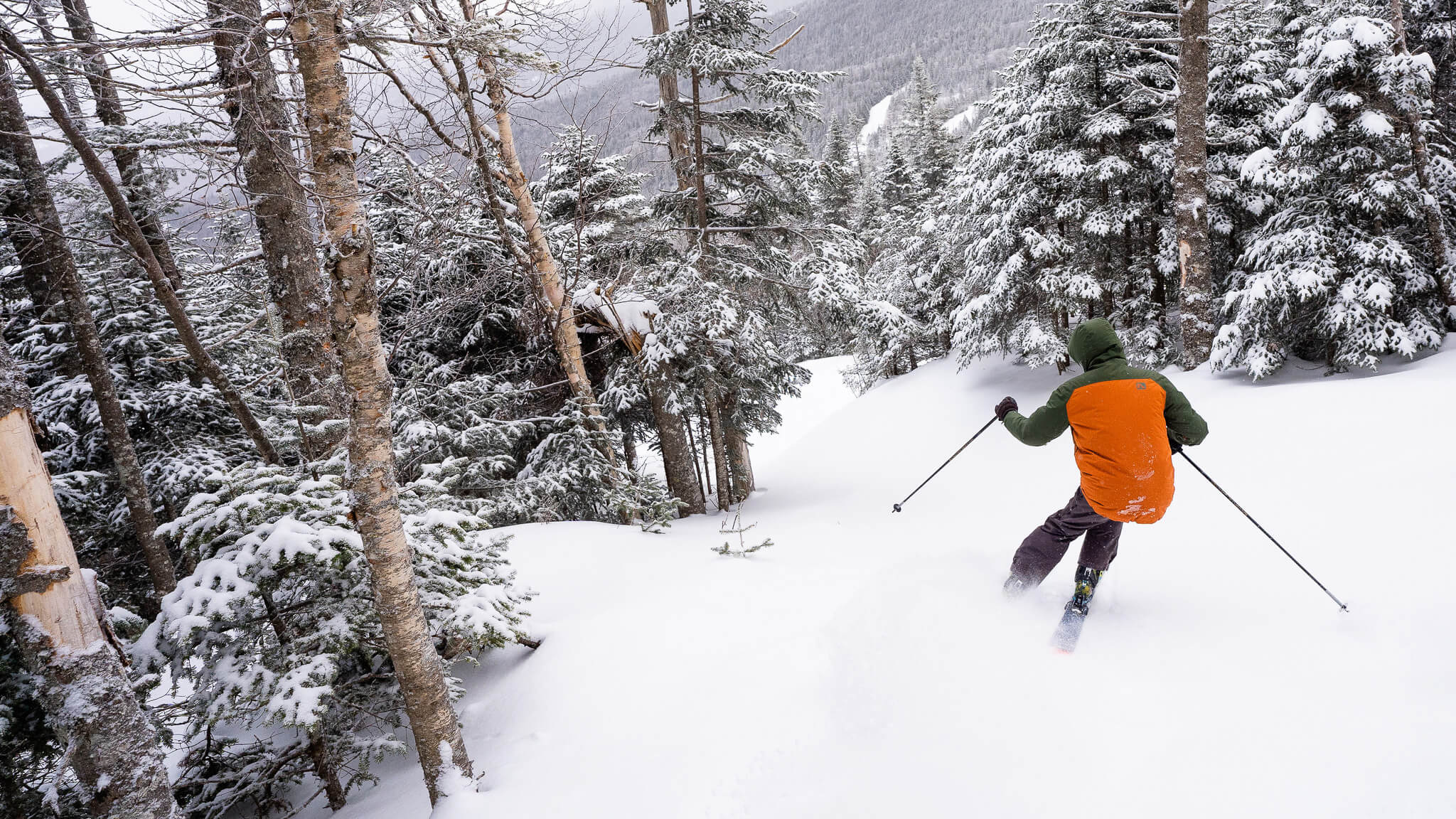 Skier in Thrombosis glades