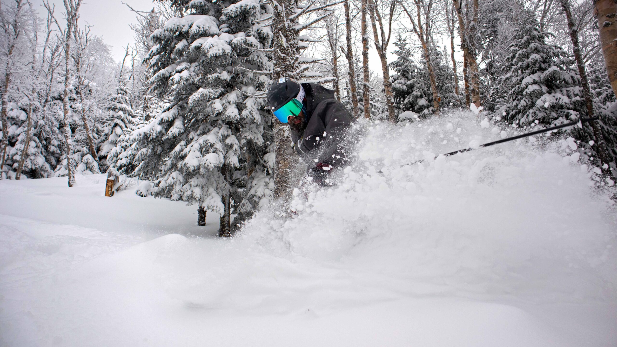 Clover in the Pow