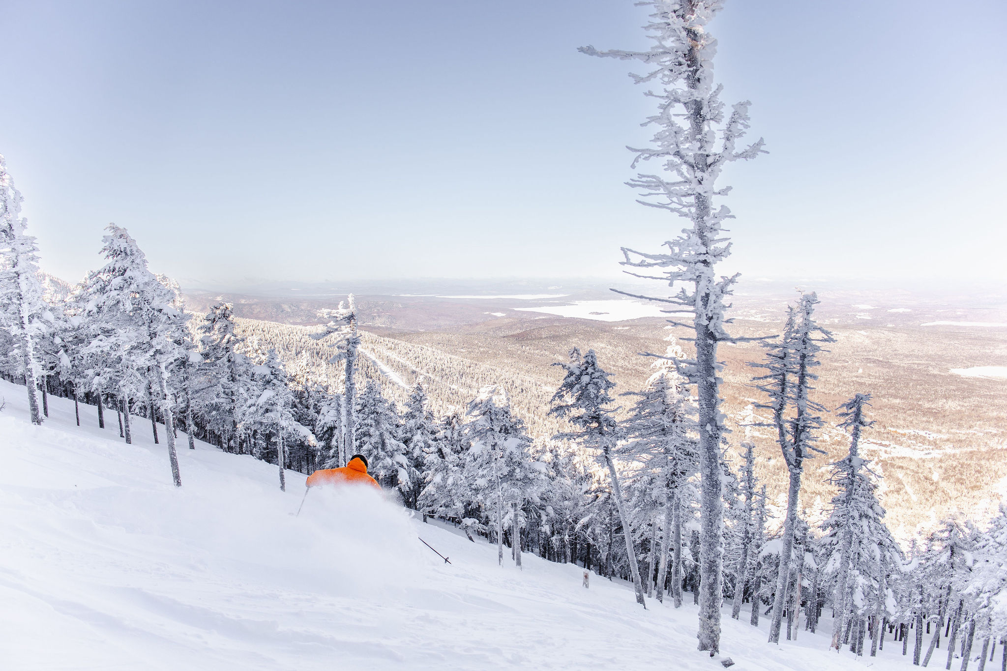 Top of Chute 4 Casablanca Glades Skier in Powder