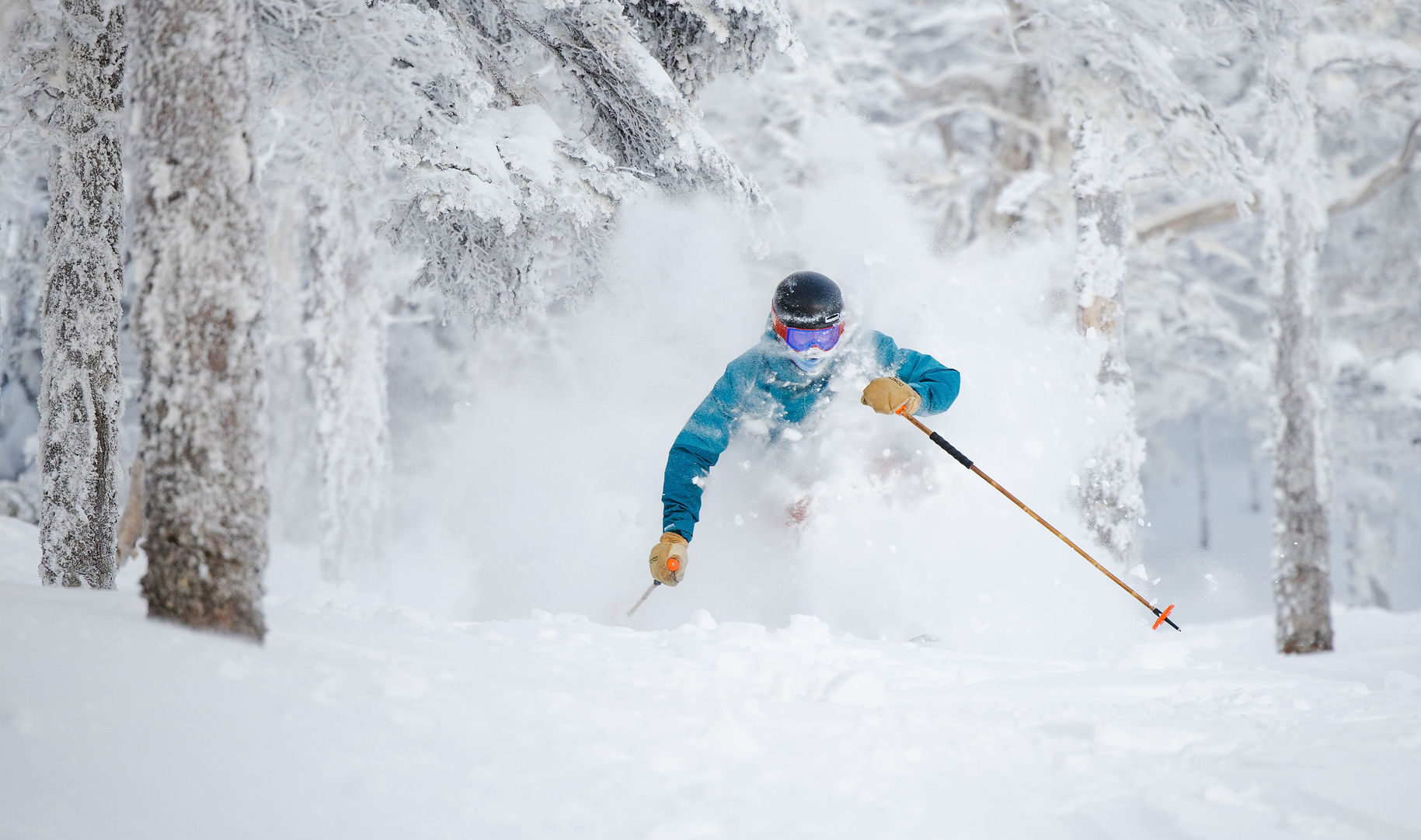 Skiing in deep powder